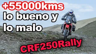 Opinión de la CRF250Rally  - Lo bueno y lo malo