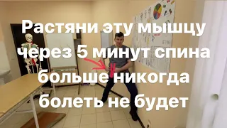 Эту мышцу растяни через 5 минут спина болеть не будет никогда больше