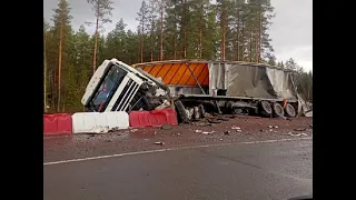 Мордобой гигантов: лобовое ДТП большегрузов DAF и Mercedes-Benz в Ленобласти