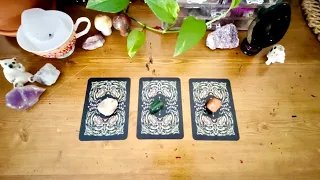 What are their intentions?? 😯🥰❤️Tarot pick a card✨✨✨