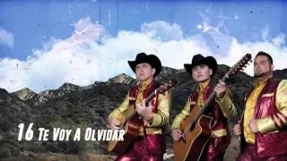 Te Voy A Olvidar - Los Plebes del Rancho de Ariel Camacho - DEL Records 2016