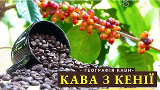 Як вирощують каву в Кенії. Географія кави. Частина 3.