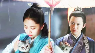 Cinderella protects the cat from the rain, general is impressed by her kindness and loves her.