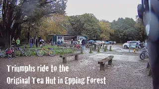 Triumphs ride to the Original Tea Hut in Epping Forest