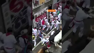 Annual running of the bulls kicks off in Spain leaving four injured