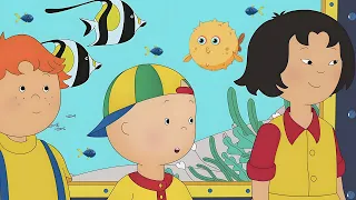 Let's Go to the Aquarium! | Caillou's New Adventures