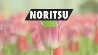 Noritsu America Spring 2019 Promotions