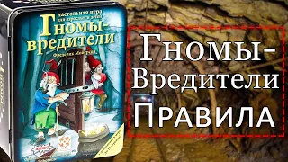 Как играть в настольную игру гномы-вредители?