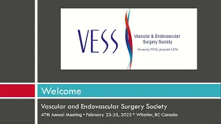 VESS 2023 Winter Meeting Session 2 Introductions