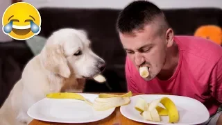 Super Funny Banana Eating with My Cute Dog Bailey [Try Not To Laugh]