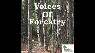 Voices of Forestry Ep. 48 - Forest Carbon Development