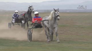 Бега-Заезд для лошадей орловской рысистой породы старшего возраста. аал Райков 2017