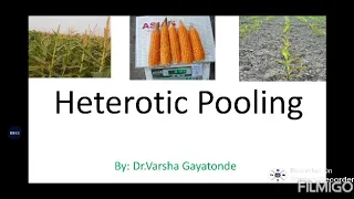 Heterotic pooling