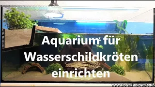 Aquarium für Wasserschildkröten-Haltung einrichten