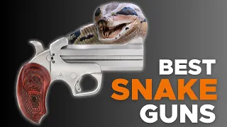 6 Best Snake Guns In 2023: Firearms to Strike First