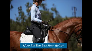 How to Use Your Reins