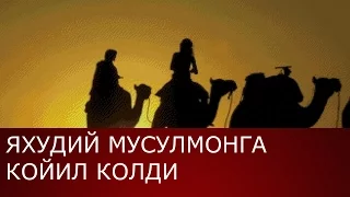 Яхудий Мусулмонга койил колди ривоят