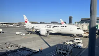 5 Stars! | Japan Airlines 787-8 | Los Angeles - Tokyo NRT | Economy