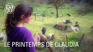 Portrait d’une éleveuse de moutons dans le Jura