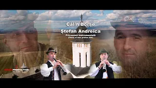 Calin Borse si Stefan Andreica - Priceasna instrumentala (Iisuse al meu prieten bun) 2021 TARAGOT