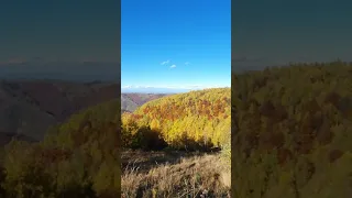 Autumn in Marisel village, Romania