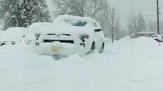 Drive A 4Runner, Slay The Snow