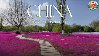 Yantai Botanical Garden: A Haven for Plant Enthusiasts Sunny Day[2024 China Walk Tour]