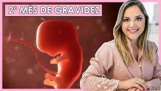 2 MESES DE GRAVIDEZ  Semanas 5, 6, 7, 8 e 9