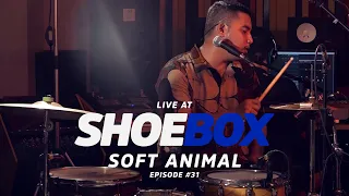 Soft Animal Live at Shoebox Sessions | Shoebox #31