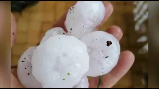 Giant hailstorm destroys cars and trees in Italy. Dev Dolu İtalya'da Ev, Araba ve Ağaçları Yok Etti.