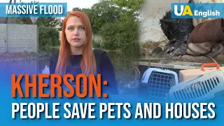 Kherson Residents Try to Save Pets and Houses. Report from the Disaster Zone
