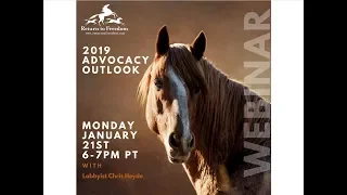 Return to Freedom webinar: 2019 Advocacy Outlook