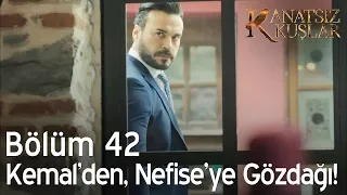 Kanatsız Kuşlar 42. Bölüm - Kemal'den, Nefise'ye gözdağı!