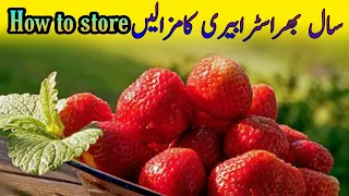 HOW TO STORE STRAWBERRIES FOR LONG TIME | strawberries ko mehfooz kernai ka tarika