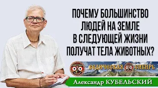 Почему большинство людей на Земле в следующей жизни получат тела животных?