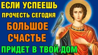 УСПЕЙ ВКЛЮЧИТЬ Акафист святому Трифону! БОЛЬШОЕ СЧАСТЬЕ ПРИДЕТ В ТВОЙ ДОМ! Православие