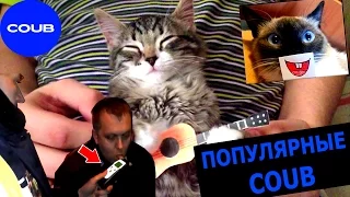 ЛУЧШИЕ КОУБ (COUB) ПРИКОЛЫ 2016 ГОДА. ТОП 30