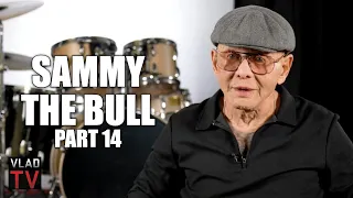 Sammy the Bull Responds to Pitbull Dissing Him: F*** Pitbull in His A** (Part 14)