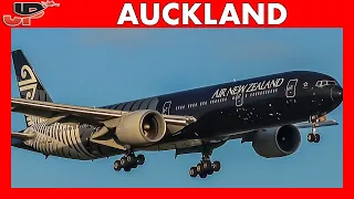 20 PLANES LANDING in 20 MINUTES - Auckland Airport Plane Spotting