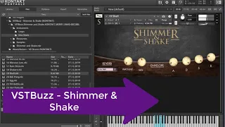 VSTBuzz  Shimmer and Shake percussion