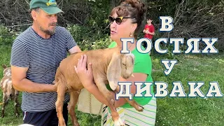 Наталя Фаліон (Лісапетний батальйон) - В гостях у дивака