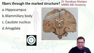 Clinical Neuroanatomy Question and Answers discussion by Dr. Sandeep Madaan