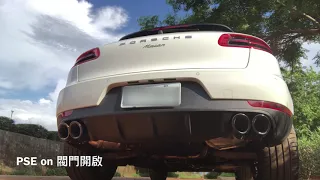 Porsche Macan 2.0 PSE