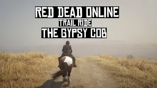 14 Minutes of Trail Riding in Red Dead Online | Naturalist Role Horse | The Gypsy Cob