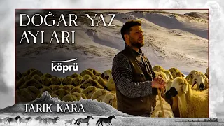 Tarık Kara - Doğar Yaz Ayları [ Gönül Dağı Dizi Müzikleri ⛰ © 2022 Köprü ]