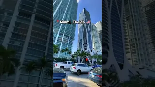 Shock I’m in Miami Florida (video by: @katedenkate)