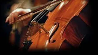 Звітний концерт струнно-смичкового відділу Броварської міської дитячої музичної школи