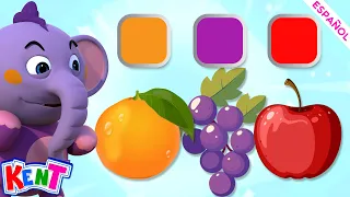 Kent el Elefante | Aprende colores con frutas 🍇 🍎 Educational Videos For Kids