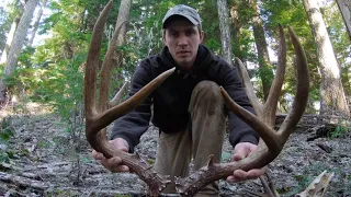 Shed Hunting MASSIVE side by side Blacktail Sheds + DEAD HEAD!!