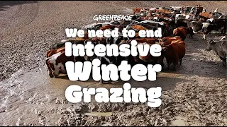 End Intensive Winter Grazing